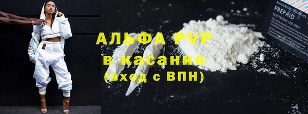 гашик Нефтекумск