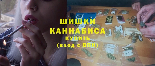 гашик Нефтекумск