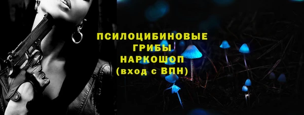 PSILOCYBIN Нефтегорск