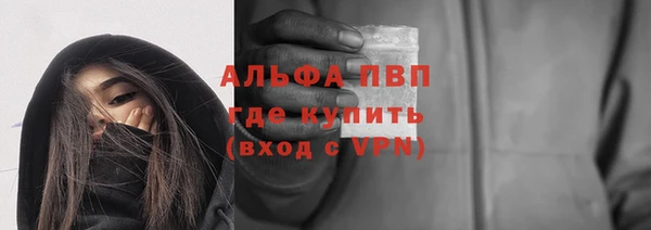гашик Нефтекумск