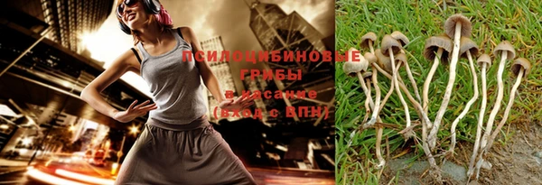 гашик Снежинск