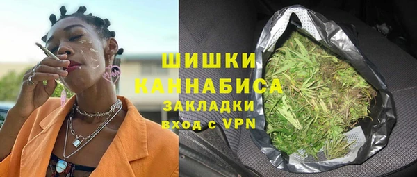 шишки Сясьстрой
