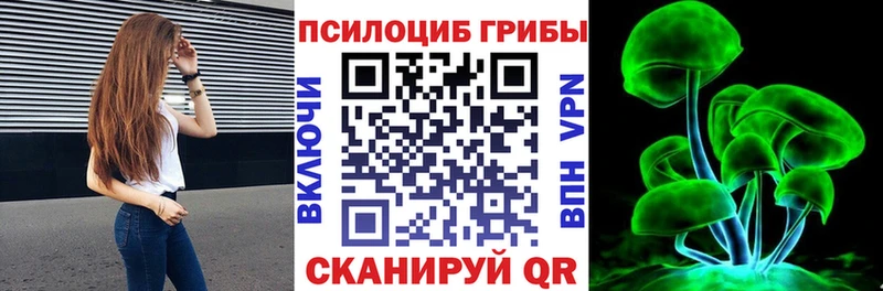 Галлюциногенные грибы Magic Shrooms  наркошоп  Полярный 