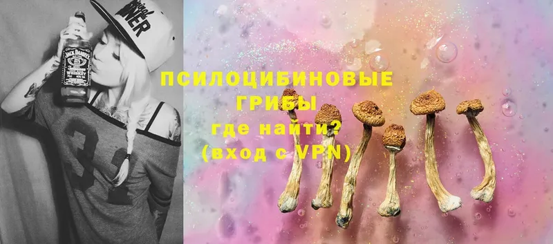 OMG сайт  Полярный  Псилоцибиновые грибы Psilocybine cubensis 